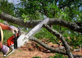 Best Hazardous Tree Removal  in Goldens Bridge, NY